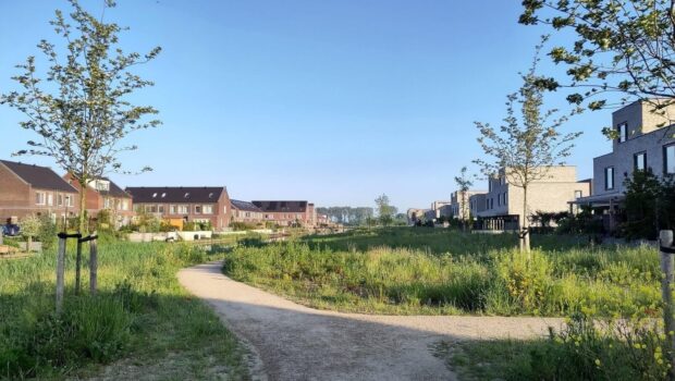 Nieuwbouwwoningen kunnen biodiversiteit in gebied aanjagen