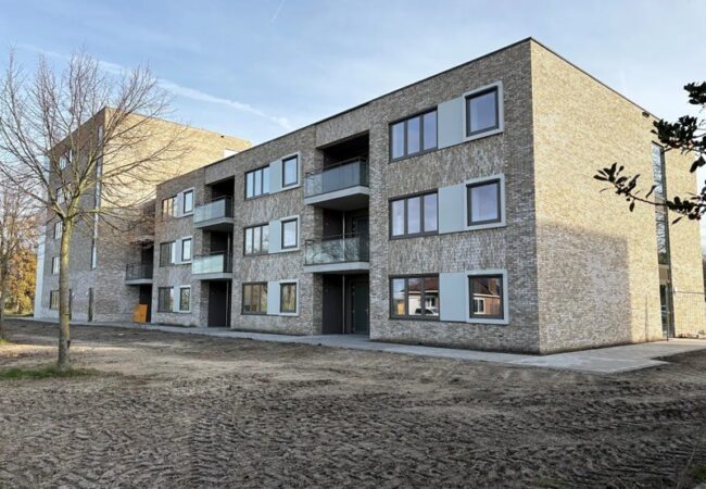 Foto bij bericht 7 januari Hulst