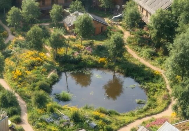 Foto bij bericht 19 juni alom